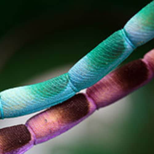 Sous Vide Safety image