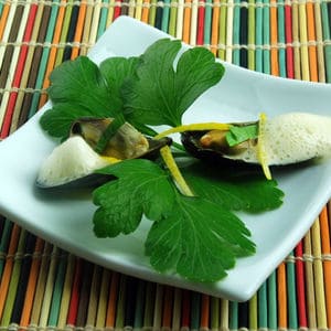 Curry mussels with curry foam