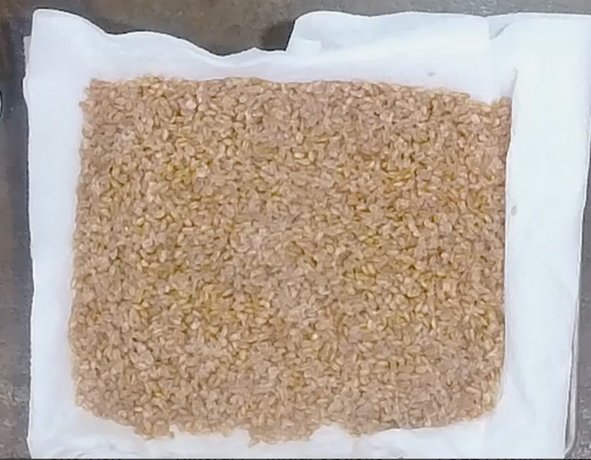 Farro   square.png