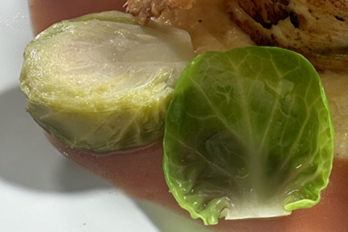 Brussels sprouts   square