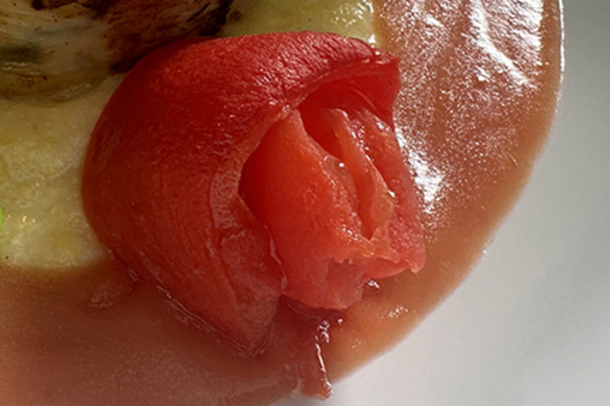 Tomato rosette square