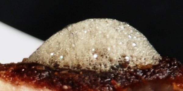 Soy sauce foam close2