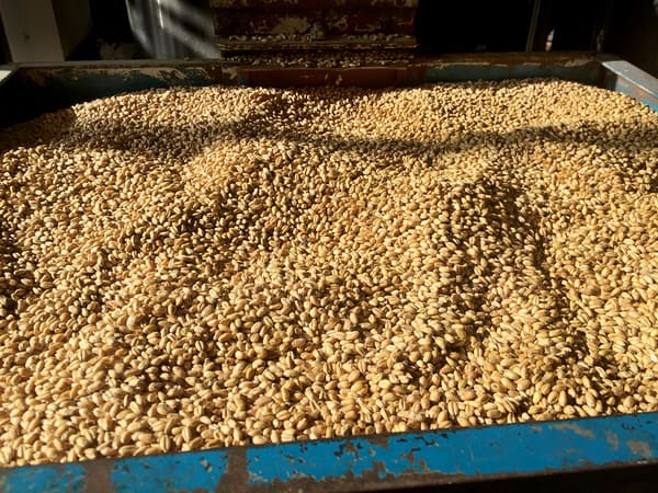 Breuckelen distilling wheat germ