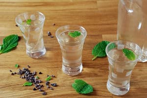 Mint chocolate infused vodka shots