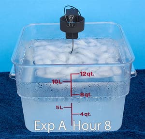 Sous vide delayed cook cube 50 tap hour 8