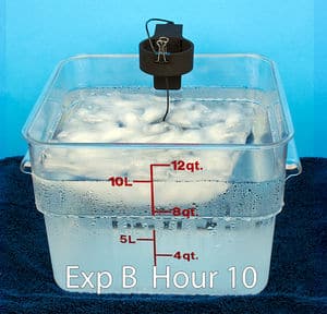 Sous vide delayed cook cube 50 refrig hour 10