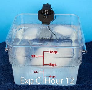 Sous vide delayed cook bags 50 refrig hour 12