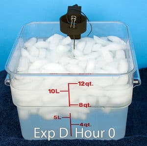 Sous vide delayed cook cube 30 refrig hour 0