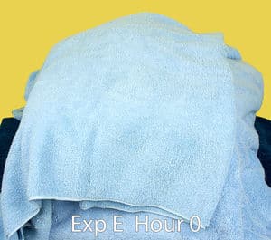 Sous vide delayed cook cube 50 refrig insulated hour 0 good