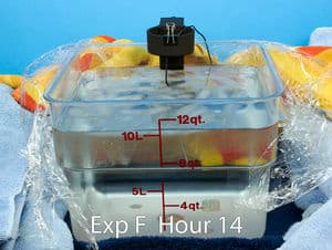 Sous vide delayed cook cube 25 tap insulated hour 14