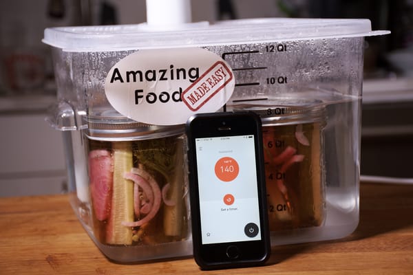 Sous vide dill pickles joule app