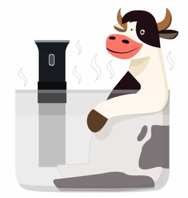 Cow sous vide design