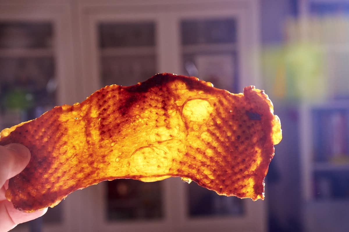 Crispy turkey skin 58