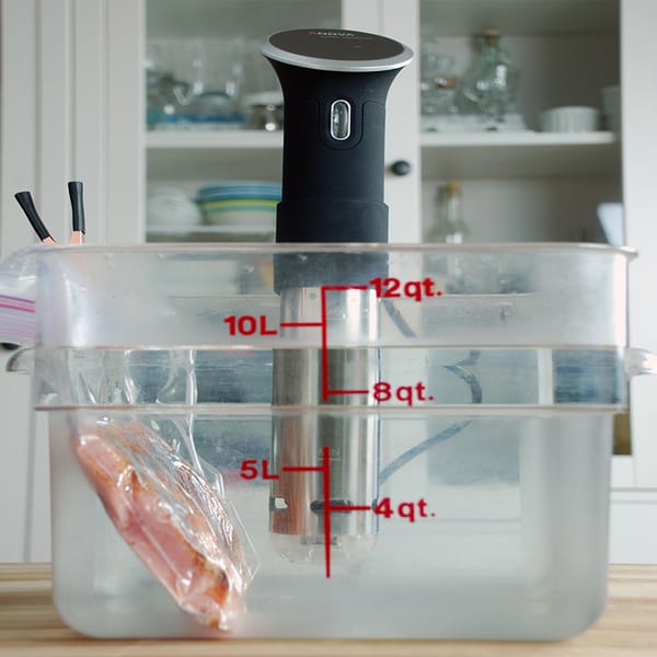 Anova precision circulator sous vide square