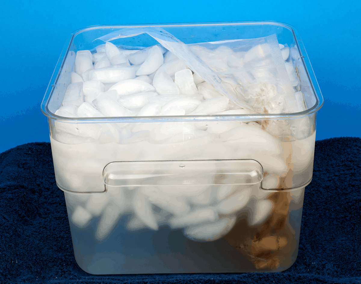 Sous vide ice bath bag