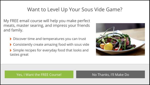 Email course callout optin monster