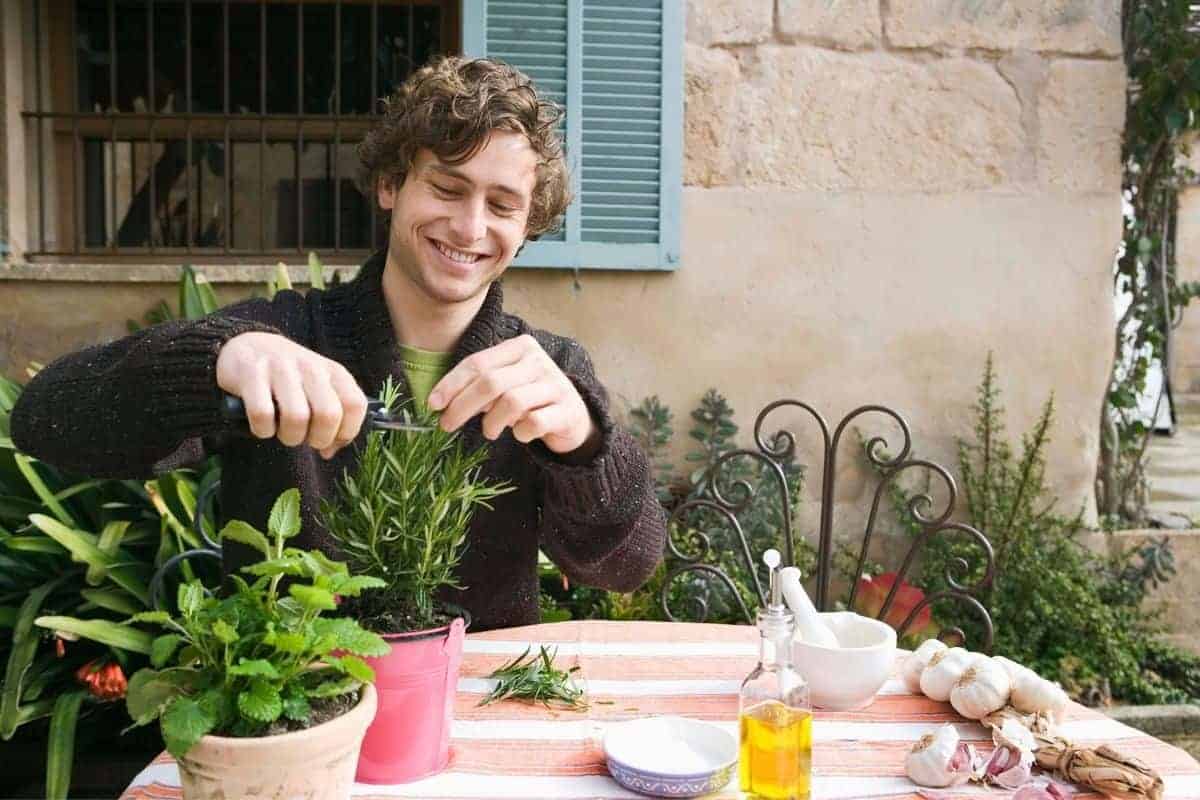 How much is in tarragon 17