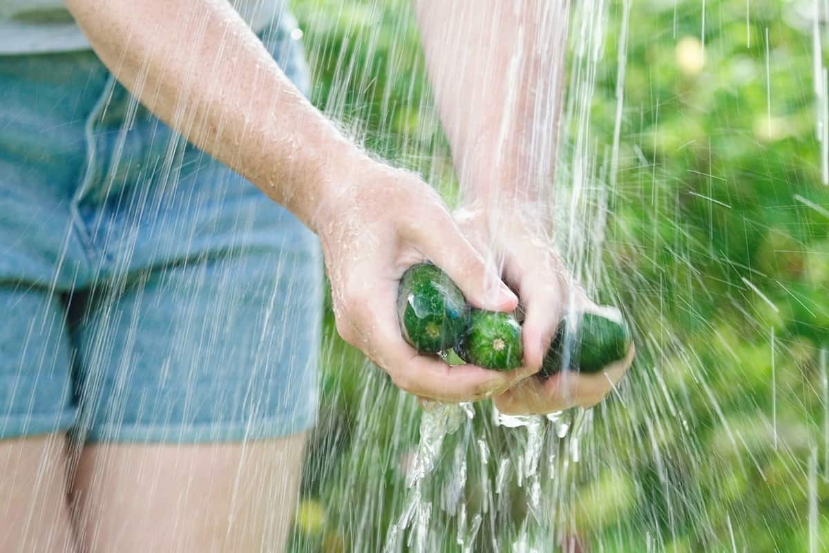 How much is in a cucumber 1