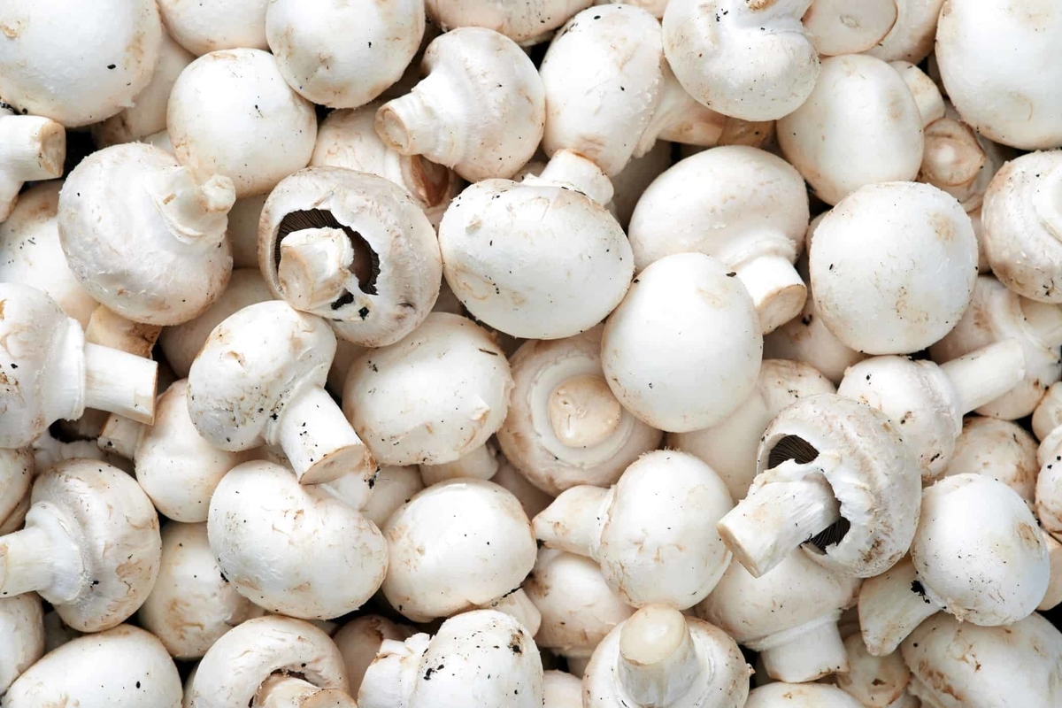 How much is in a mushroom 1