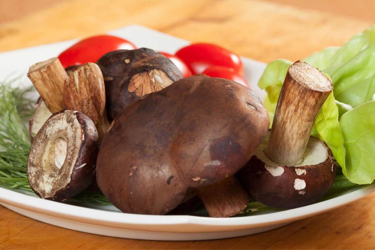 How much is in a mushroom 13