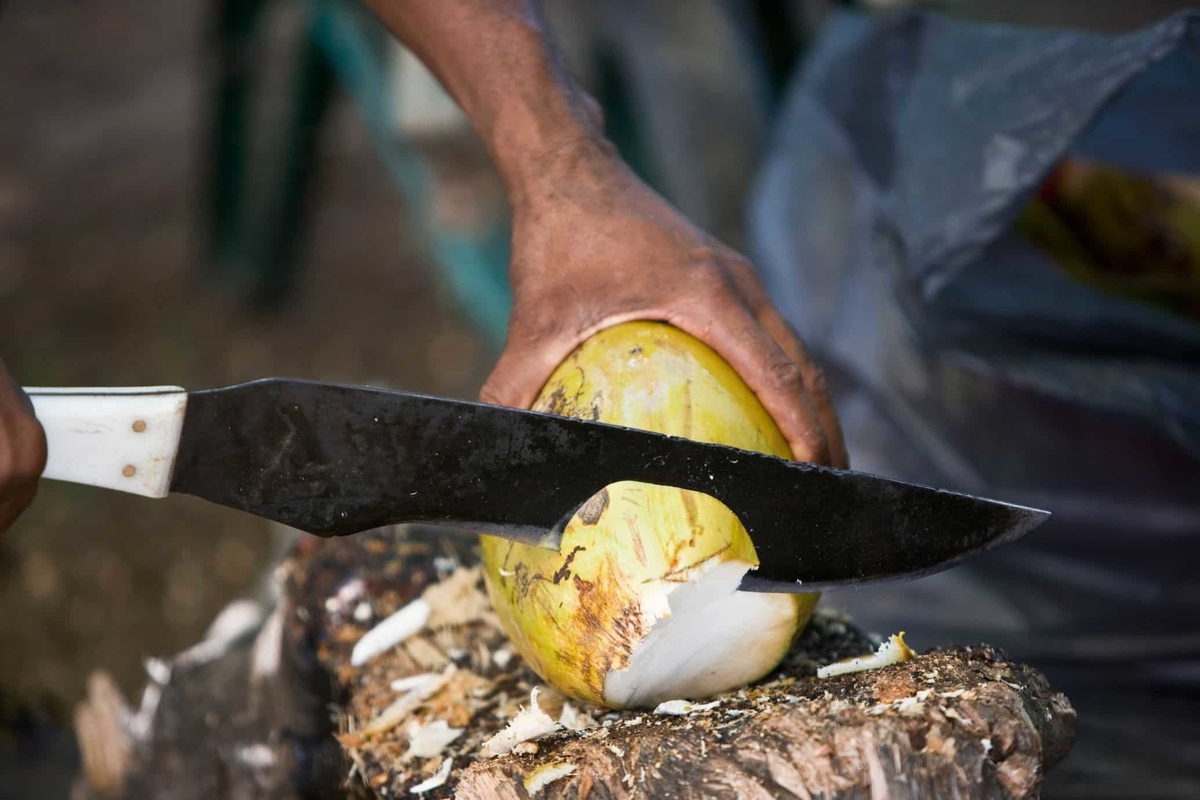How much is in a coconut 6