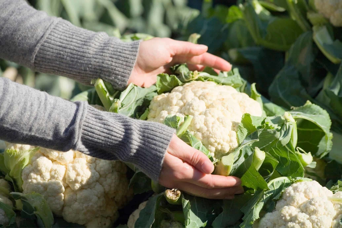 How much is in a cauliflower 3