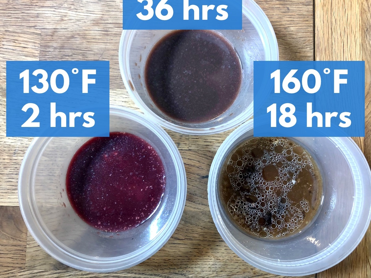 Sous vide temperature tentpoles 18.jpeg