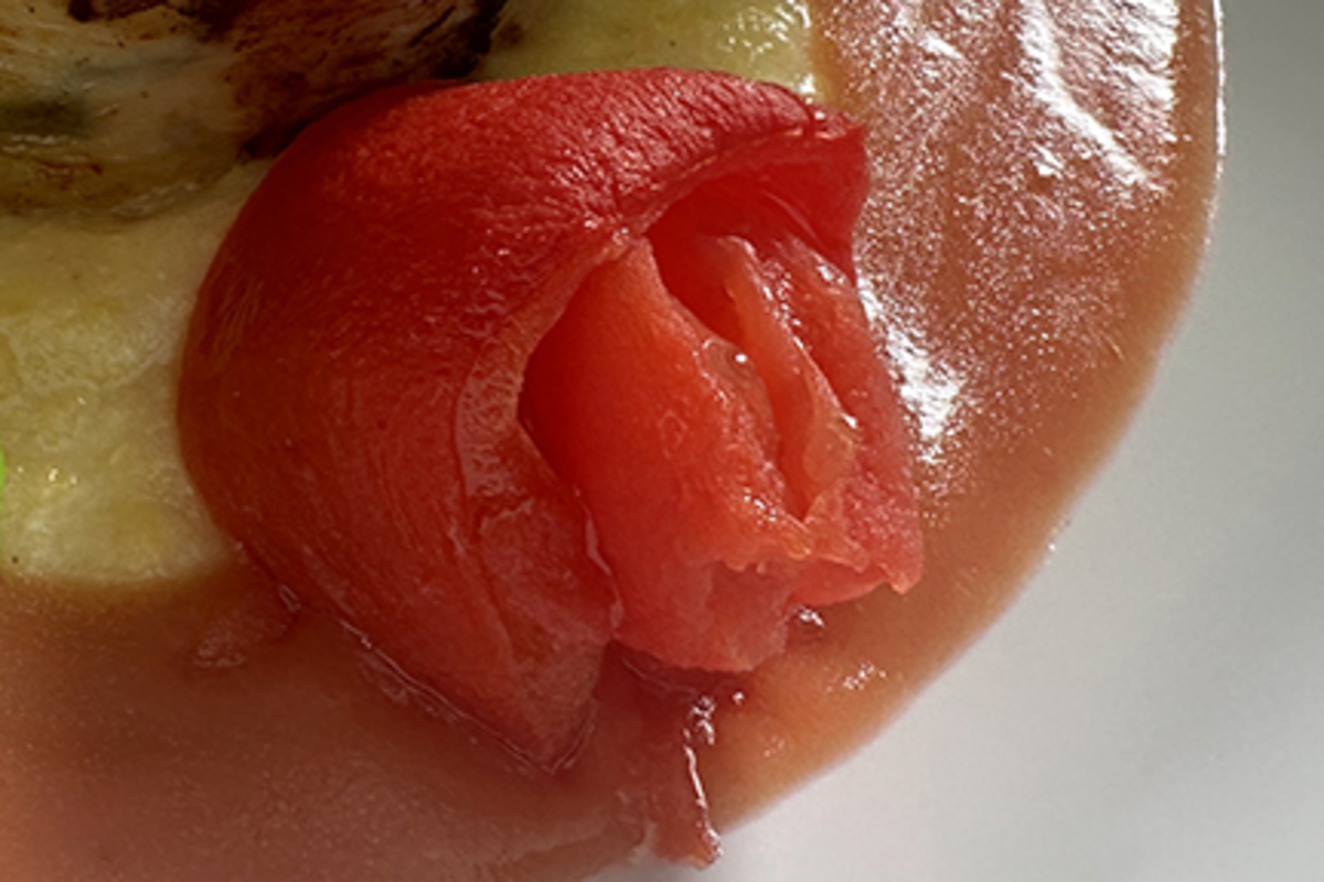 Tomato rosette wide