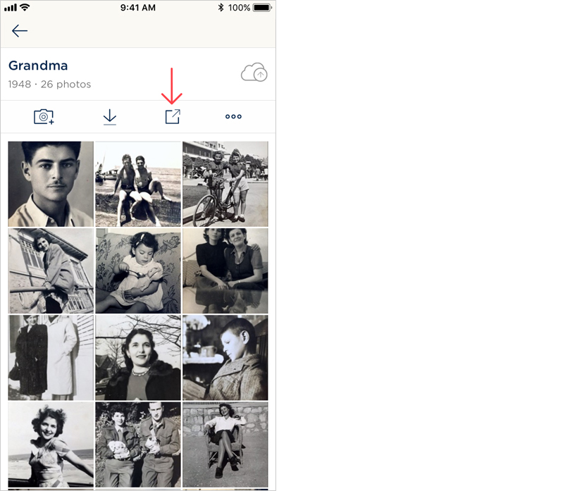 The share icon on the album screen