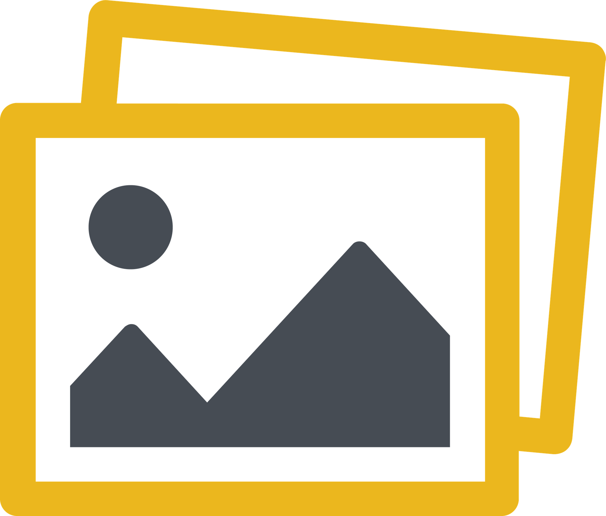 Images and video data