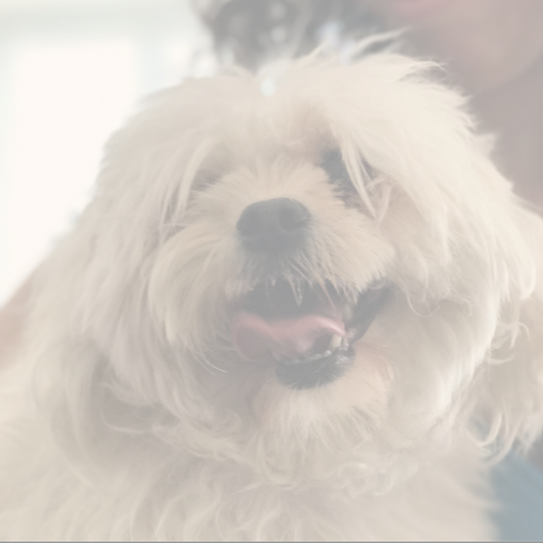 Data Science and Linear Algebra Fundamentals with Python, SciPy, & NumPy