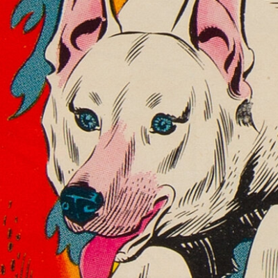 Rex the Wonder Dog (Earth-One, Pre-Crisis) - DC Comics