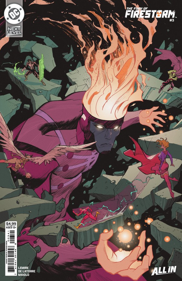 The Fury of Firestorm #3