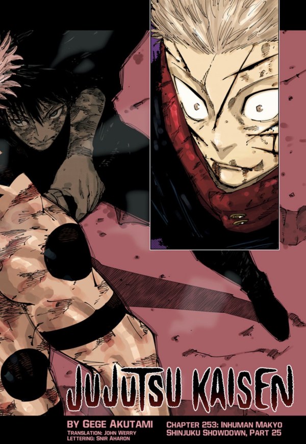 Jujutsu Kaisen Chapter #253 Reviews