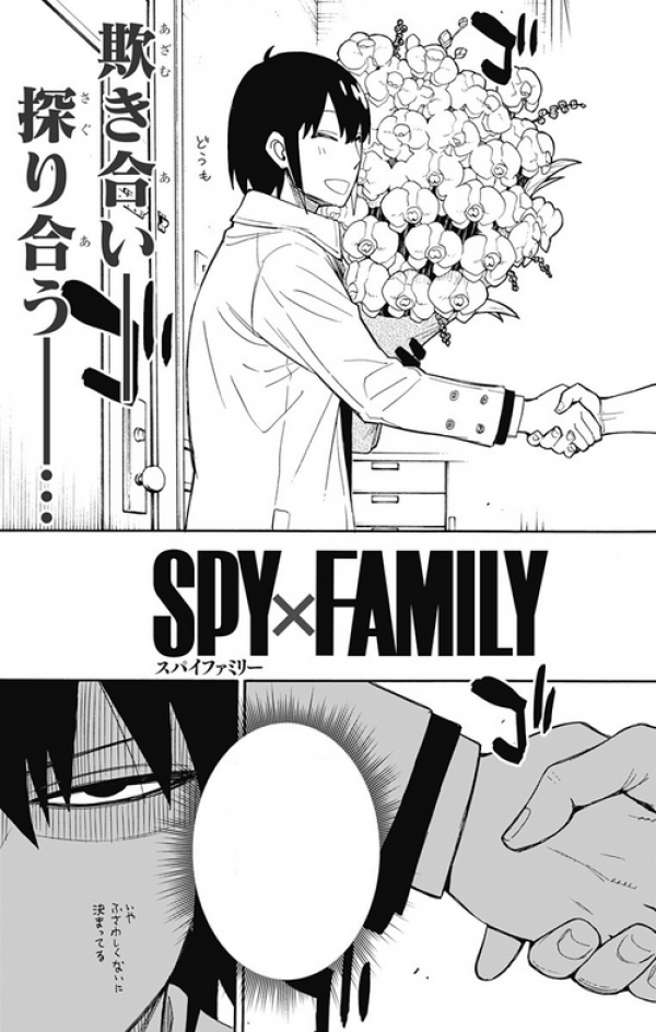 Spy x Family 12 Reviews