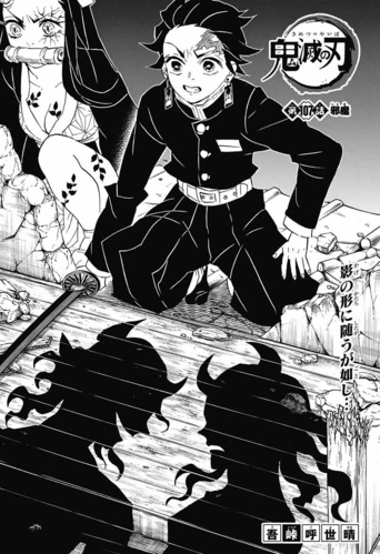 Demon Slayer: Kimetsu no Yaiba #107 Reviews