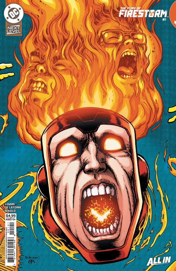 The Fury of Firestorm #1