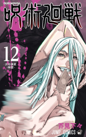 呪術廻戦 (Jujutsu Kaisen) Vol. 12: 渋谷事変－降霊－ TP Reviews