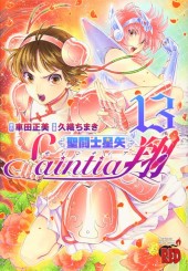 聖闘士星矢 セインティア翔 (Saint Seiya: Saintia Shō) from Akita Shoten