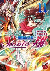 聖闘士星矢 セインティア翔 (Saint Seiya: Saintia Shō) from Akita Shoten