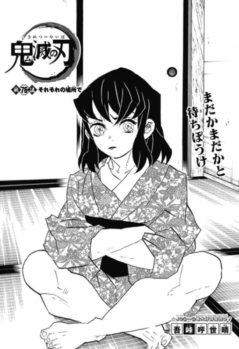 Demon Slayer: Kimetsu no Yaiba #76 Reviews