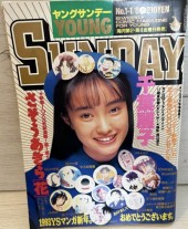 週刊ヤングサンデー (Weekly Young Sunday) 1993 from Shogakukan