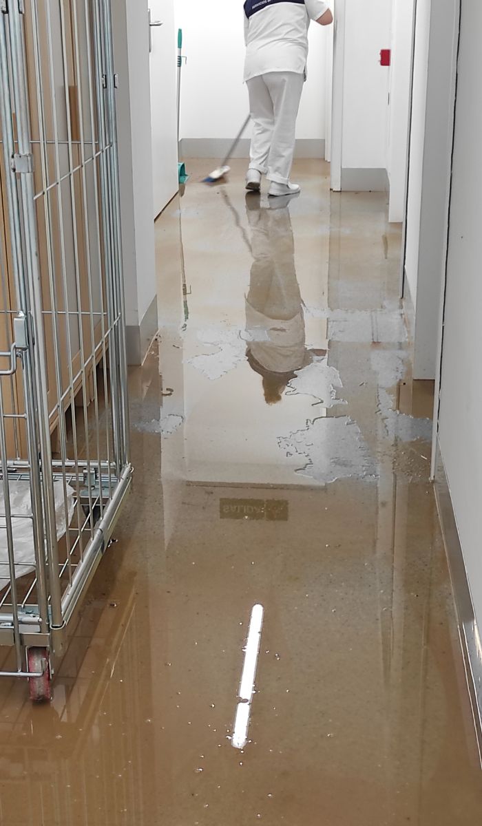 What Is Commercial Cleaning and Why Is It Essential for Businesses?