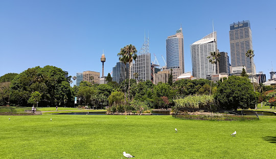 Sydney: A Global Hub of Economic Opportunity, Culture, and Tourism