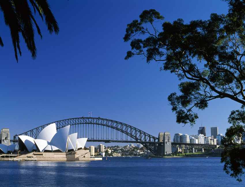 Sydney's Demographics: A Diverse and Growing Urban Landscape