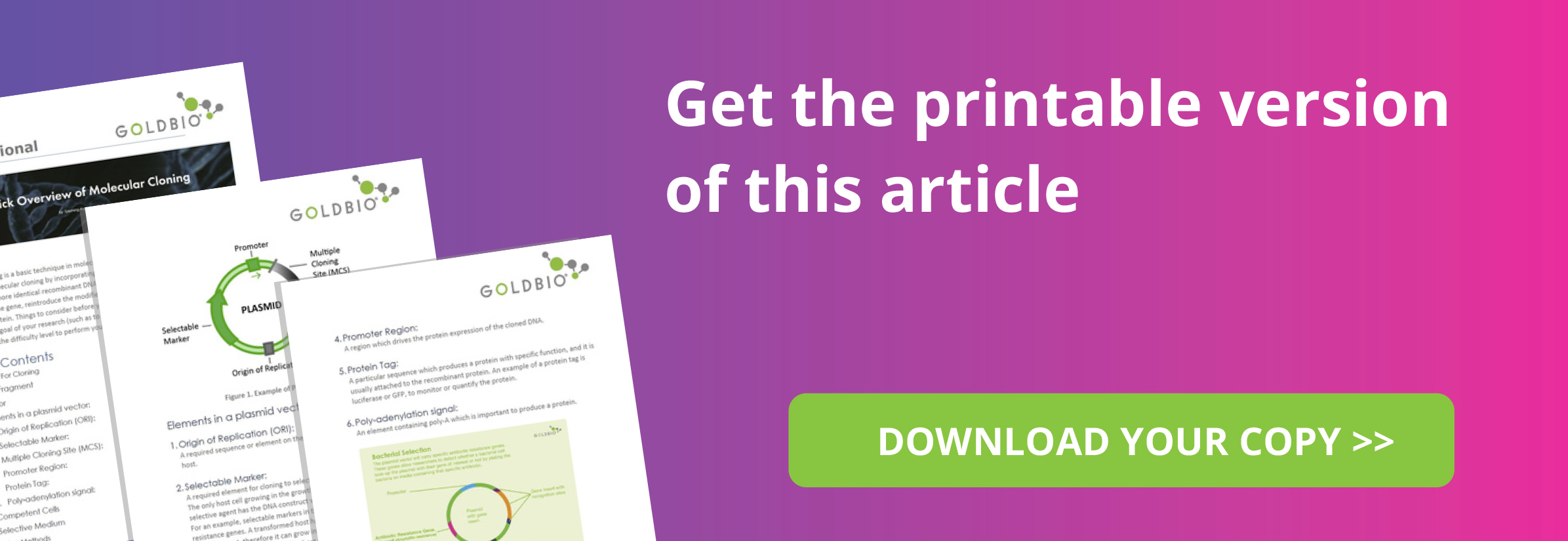 a quick overview of molecular cloning goldbio
