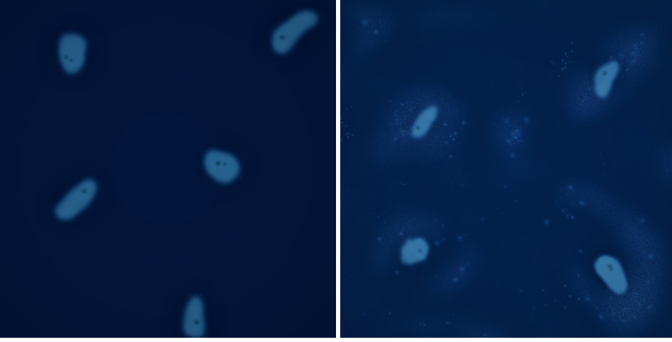 test for mycoplasma in my cell culture