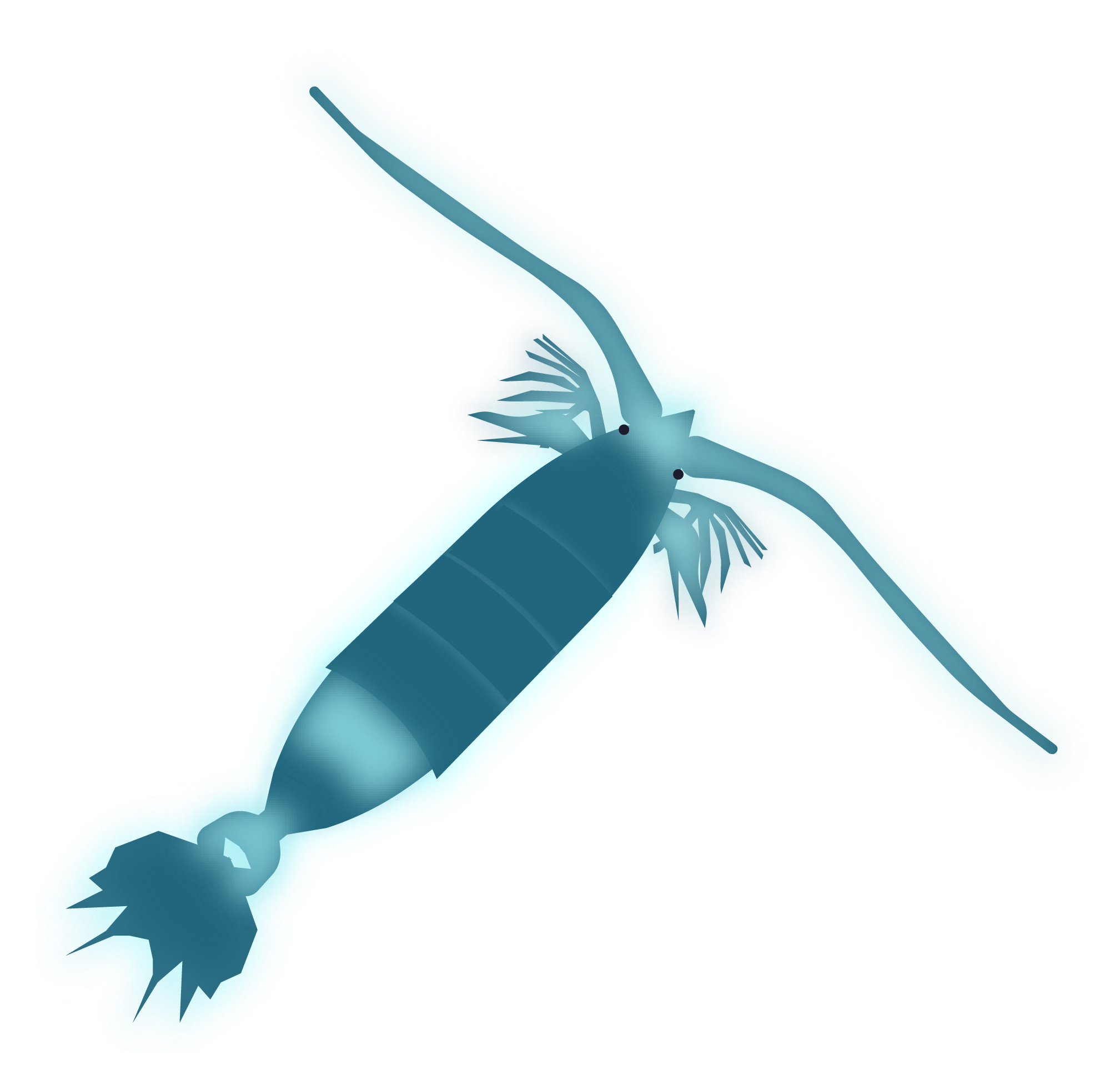 How Different LuciferinLuciferase Systems Are Used In Biotechnology