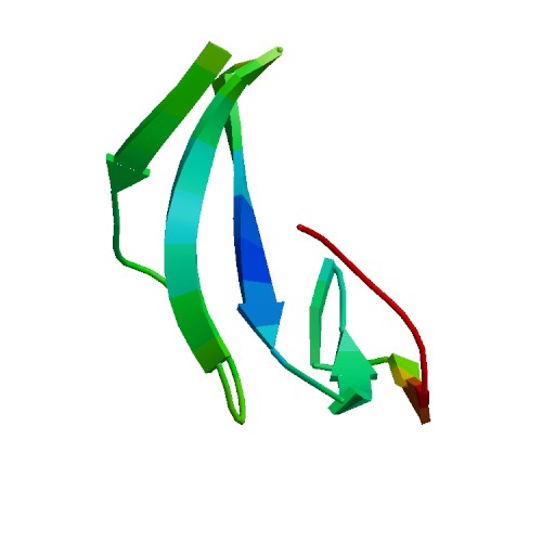 Image thumbnail for Epidermal Growth Factor (EGF), Murine
