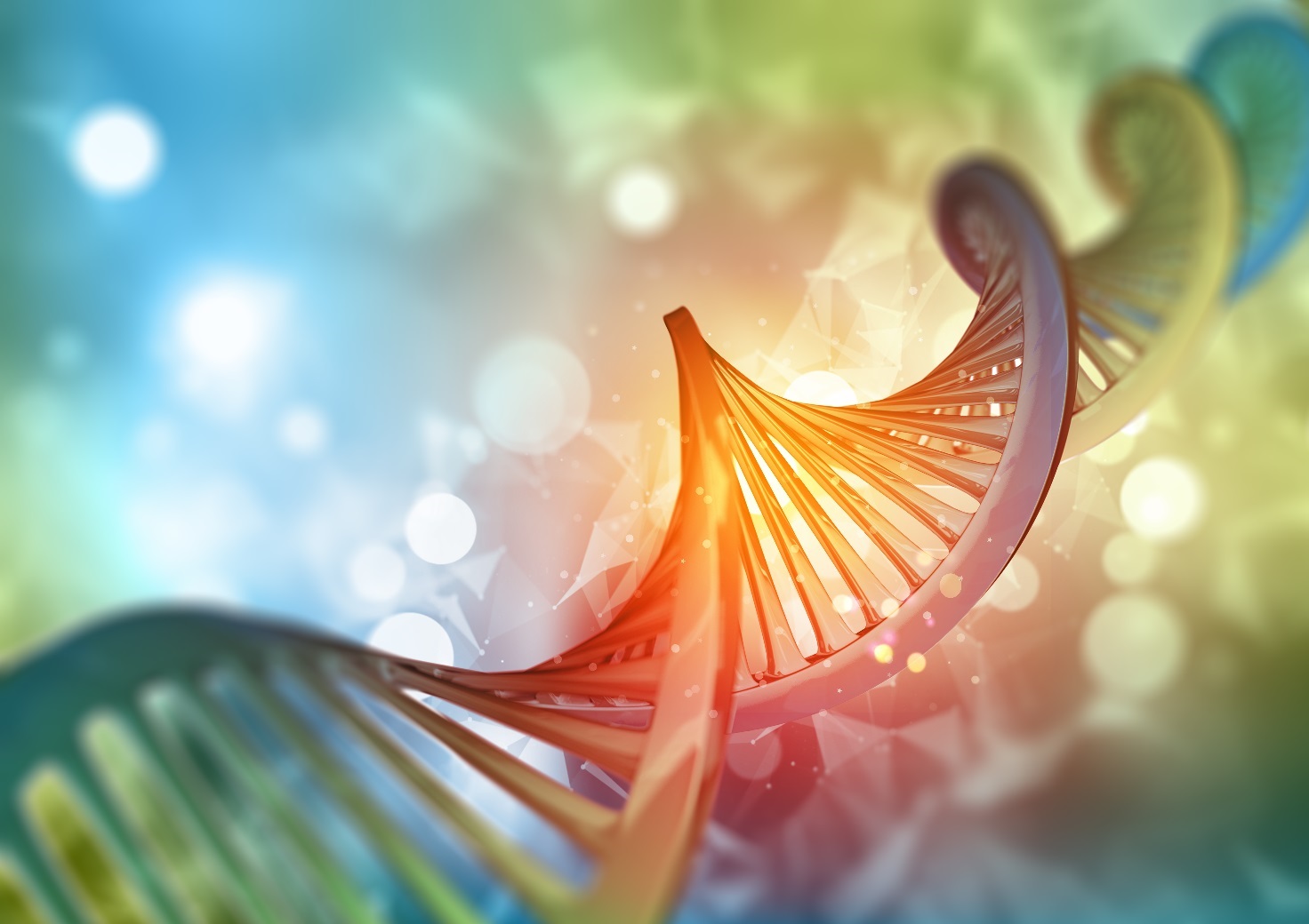 https www goldbio com articles article somanypolymerasessolittletime